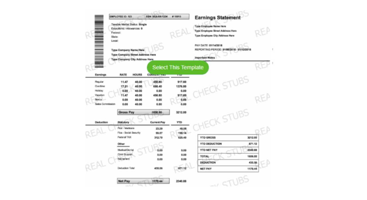 Full-page Pay Stub Template